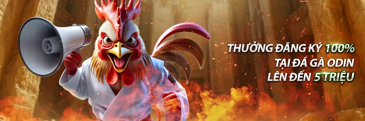 Đội ngũ hỗ trợ khách hàng chuyên nghiệp của vn86